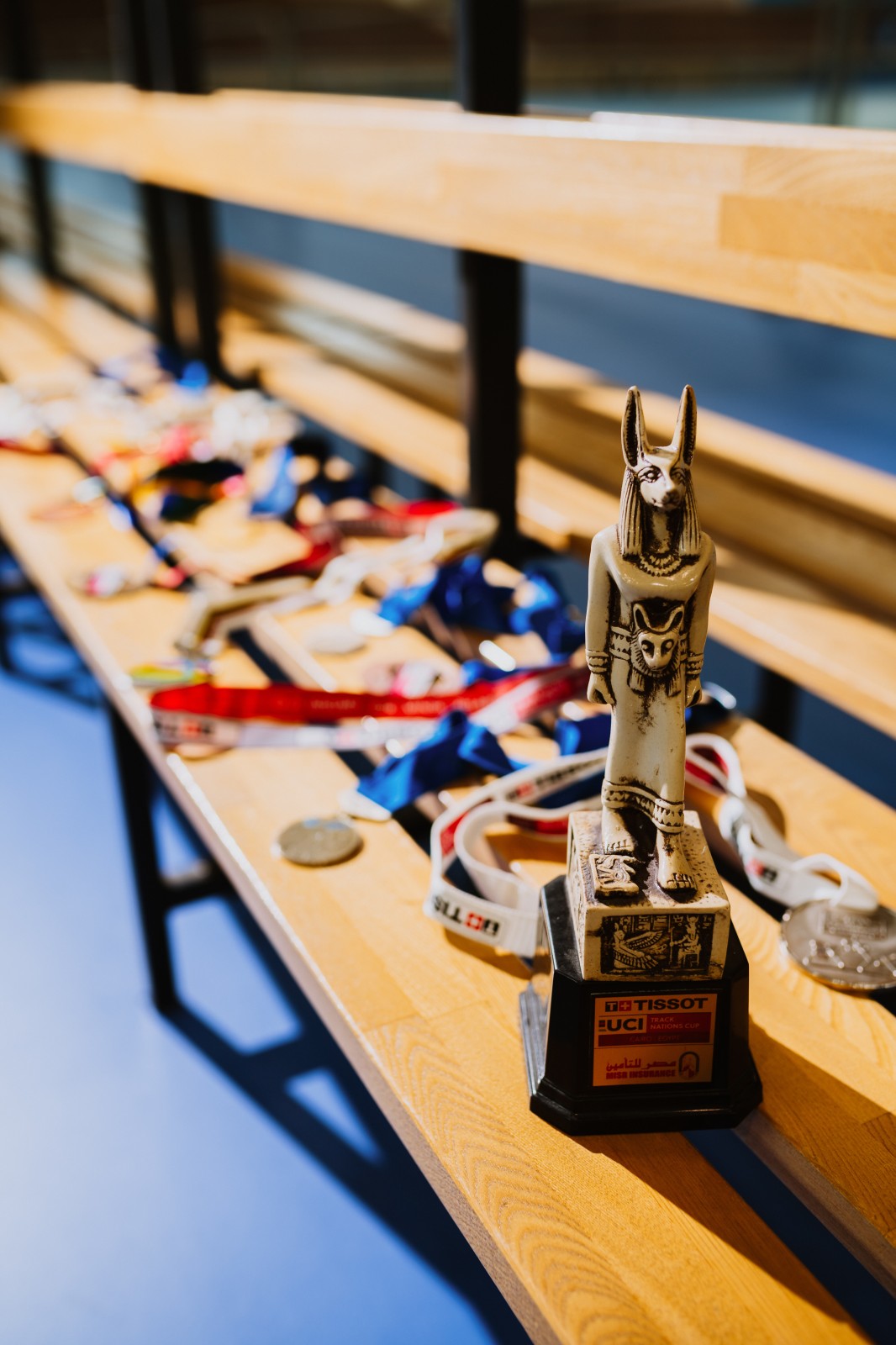 Medailles en trofeeën van Nicky Degrendele